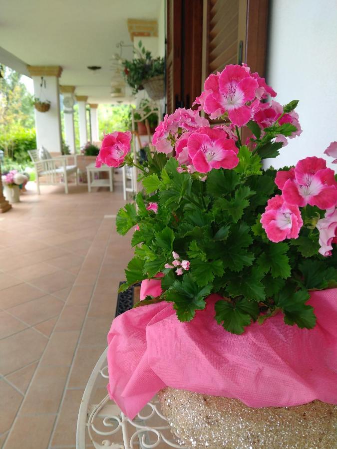 B&B Il Cantico Greccio Exterior photo